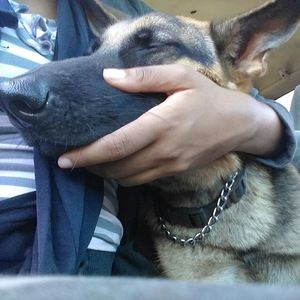 Meet your Posher, Mariana